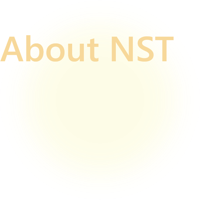 About NST