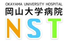 nst logo